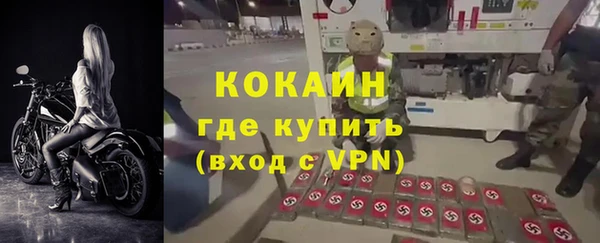 прущие грибы Абаза
