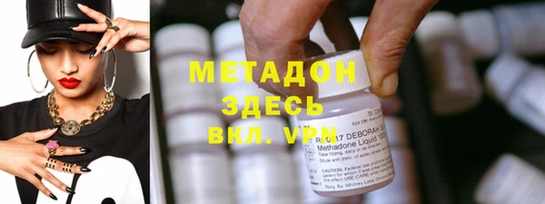 прущие грибы Абаза