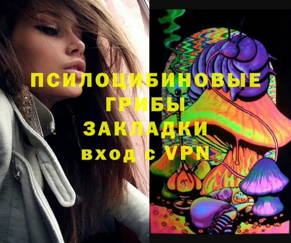 прущие грибы Алексин