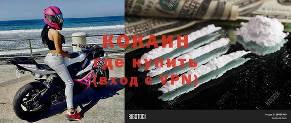 прущие грибы Абаза
