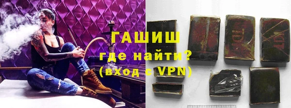 прущие грибы Абаза