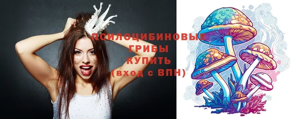 стафф Алексеевка