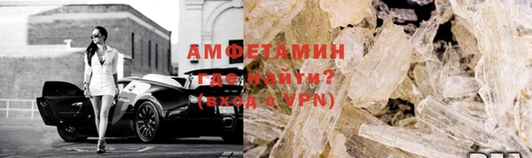 прущие грибы Абаза