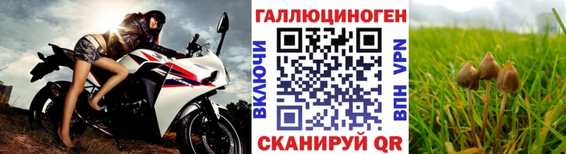 Псилоцибиновые грибы мицелий  что такое   Псков 